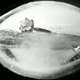 Illustration for article titled Shooting Challenge: ICE, Gallery 1